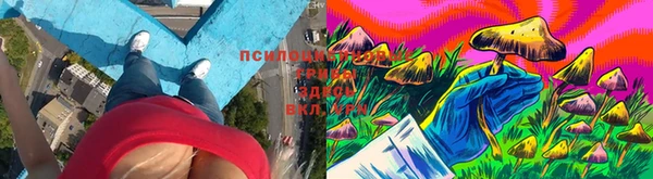 spice Абдулино
