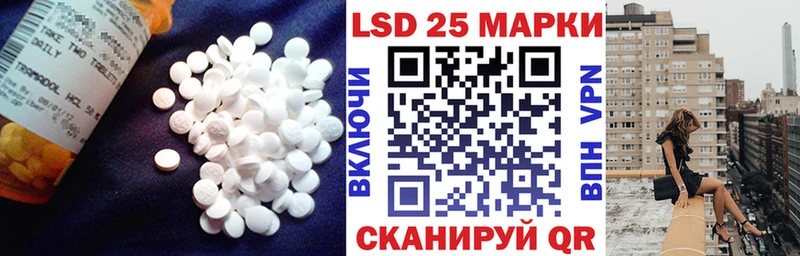хочу   Миллерово  Лсд 25 экстази ecstasy 