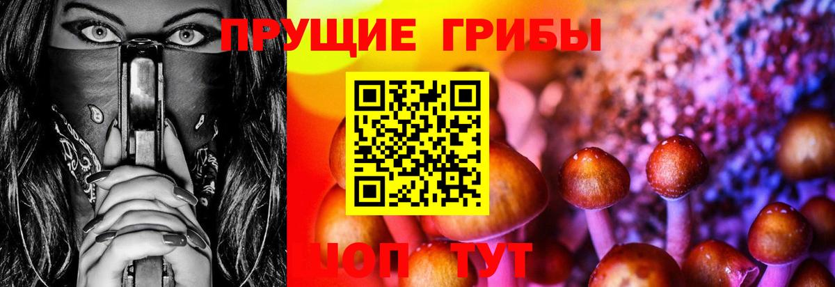 цены наркотик  Галлюциногенные грибы Psilocybine cubensis  Вход с VPN  Миллерово 