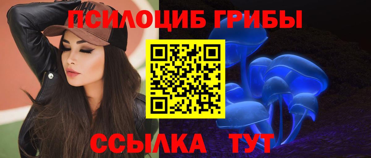 МЕФ Миллерово