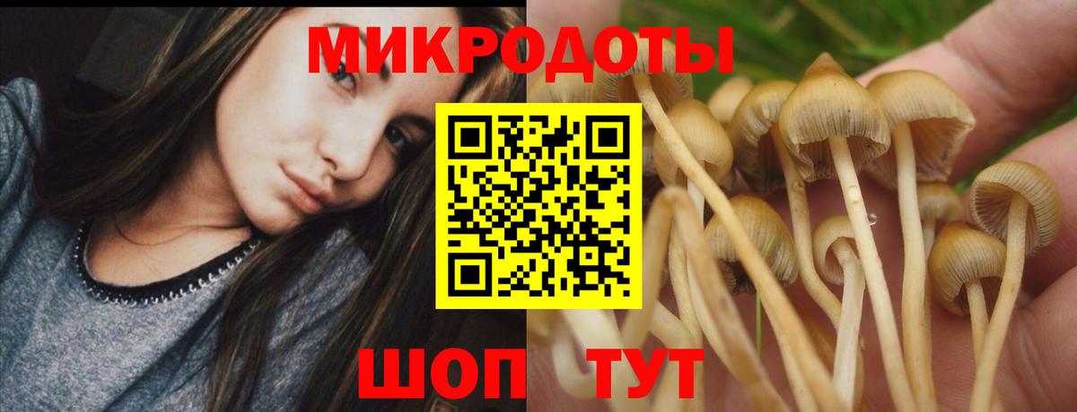 Галлюциногенные грибы Cubensis Миллерово
